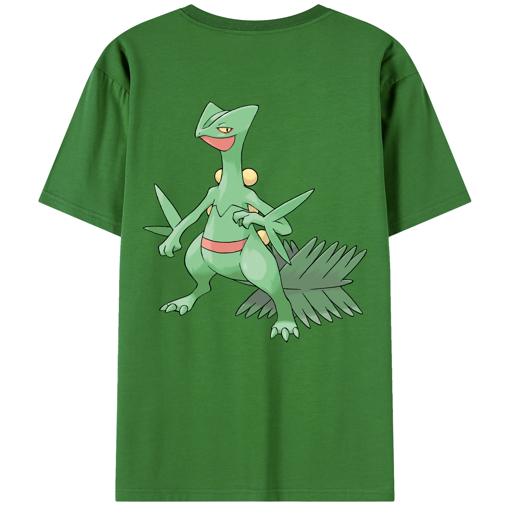 （画像用） ポケットモンスター Pokémon レディース半袖Tシャツ(バックプリント)